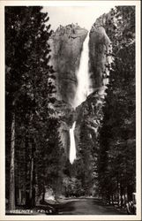 Yosemite Falls California Yosemite National Park Postcard Postcard