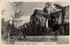 Bridal Veil Fall Yosemite, CA Yosemite National Park Postcard Postcard