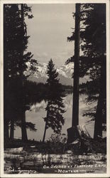 On Shores of Flathead Lake Montana Postcard 