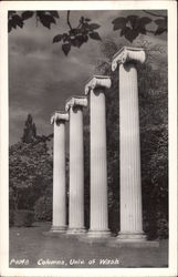 University of Washington - Columns Postcard