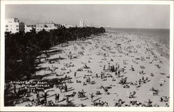 Crowds on the Beach Postcard