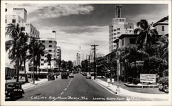 View of Collins Avenue with Palm Trees and Cars Postcard