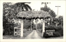 Entrance Algibe Farm Postcard