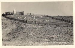 Custer Battlefield National Monument Postcard