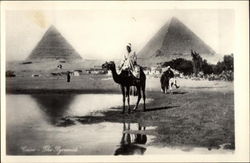 Man on Camel with Sphinx and Pyramids in the Background Postcard