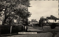 Sunnyside Lane Postcard