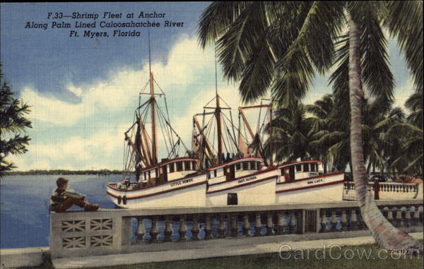 Shrimp Fleet at Anchor Fort Myers Florida