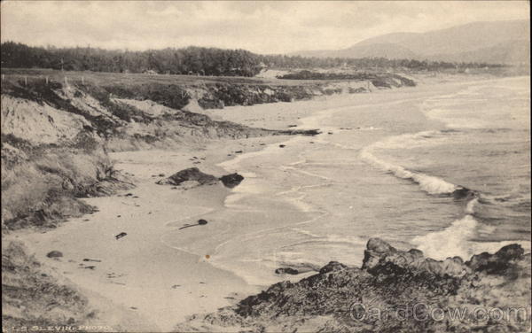 Beach from the North Carmel California