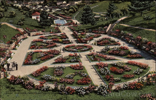 Rose Gardens Oakland California