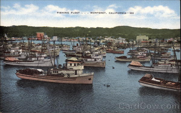 Fishing Fleet Monterey California
