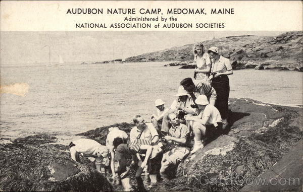 Audubon Nature Camp Medomak Maine
