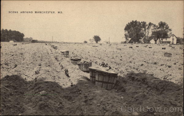 Rural Scene With Farmhouse Manchester Maryland