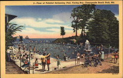 View of Palatial Swimming Pool, Facing Bay Chesapeake Beach, MD Postcard Postcard