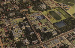 Air View of University of New Mexico Postcard