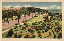 Western Promenade Postcard