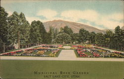 Municipal Rose Garden Postcard