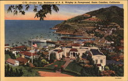 Avalon Bay, Residence of P.K. Wrigley in Foreground Santa Catalina Island, CA Postcard Postcard