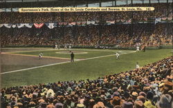 Sportsman's Park, Home of the St. Louis Cardinals and Browns Postcard