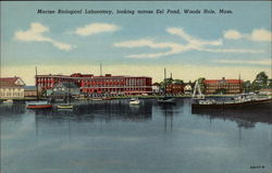 Marine Biological Laboratory, looking across Eel Pond Woods Hole, MA Postcard Postcard