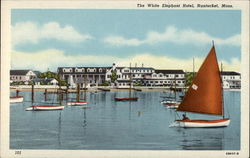 The White Elephant Hotel Postcard