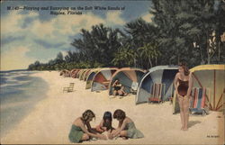 Playing and Sunnying on the Soft White Sands Postcard