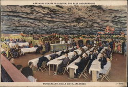 Wonderland - Arkansas Senate in Session, 500 Feet Underground Postcard