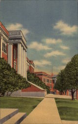 Sull Ross State Teachers College Alpine, TX Postcard Postcard