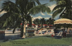 Dream Bungalows in Florida "The Sunshine State" Postcard