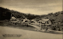 Walter's Trout Brook Cabins Bridgewater Corners, VT Postcard Postcard