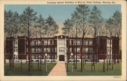 Training School Building of Murray State College Postcard