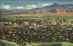 Bird's Eye View, Business Section Postcard