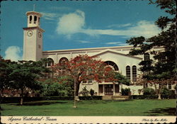 Cathedral Cathedral