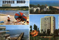 Various Views of City Postcard