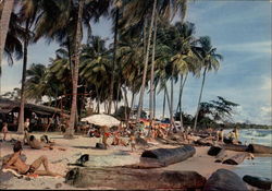 Tropical Beach Postcard