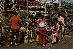 Chinese New Year Bazaar - flower stalls Postcard