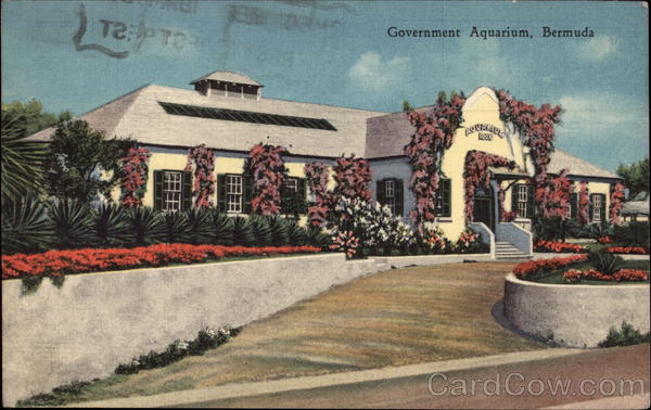 Government Aquarium Bermuda