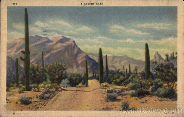 A desert road Scenic