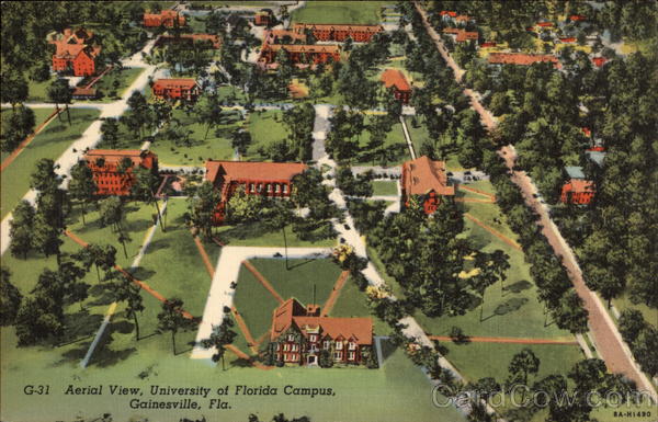 university of florida gainesville supplemental essays