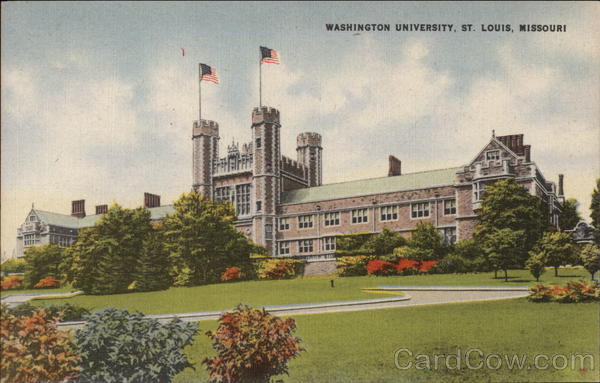 Washington University St. Louis Missouri