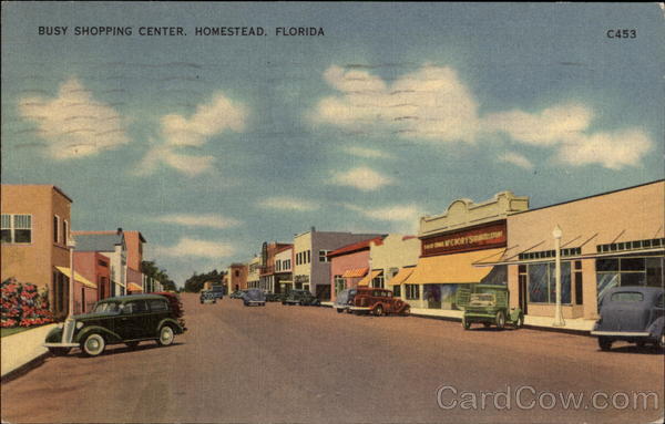 Shopping Center Homestead Florida