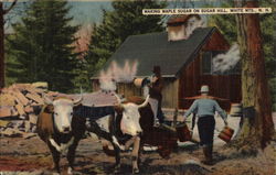 Making Maple Sugar on Sugar Hill White Mountains, NH Postcard Postcard