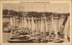 Harbor Scene Postcard