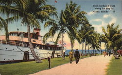Palm Bordered Walk along the Bay Postcard