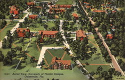 Aerial View University of Florida Campus Postcard