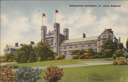 Washington University Postcard