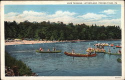 Lake Tamaque, Lutherland Postcard