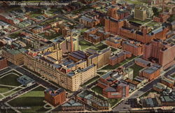 Stock #325988 Thumbnail