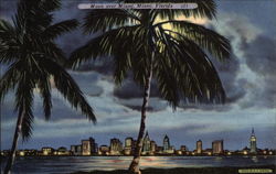 Moon Over Miami Florida Postcard Postcard