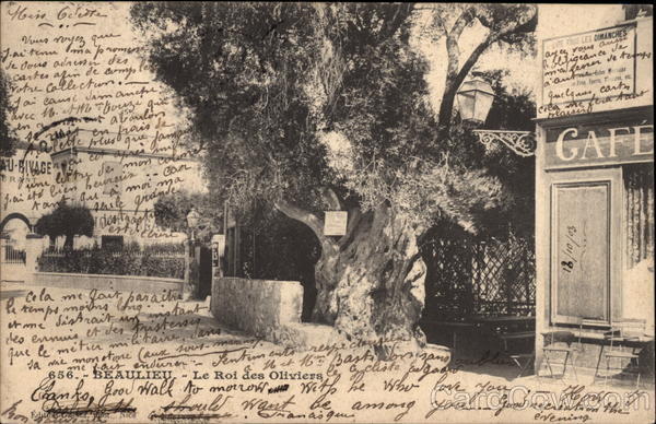 The King of Olives Beaulieu France