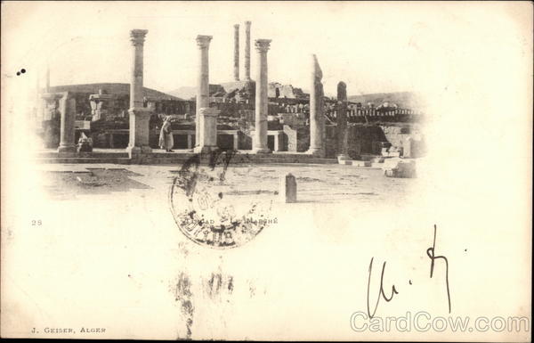 The Market Timgad Algeria Africa